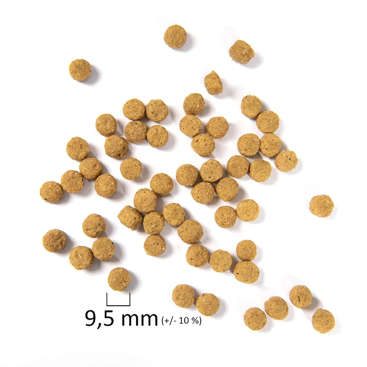 Psittacus High Protein 12 kg | Pienso Completo para Amazonas, Cacatúas y Cotorra de Kramer | Alimento Premium para Aves | 100% no-GMO