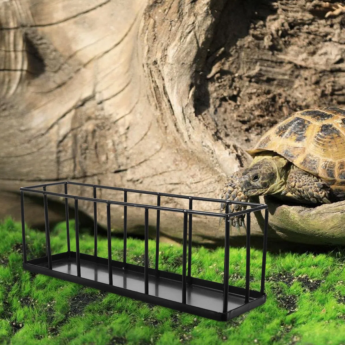 Comedero para Reptiles de Acero Inoxidable, Pequeño y Fácil de Limpiar
