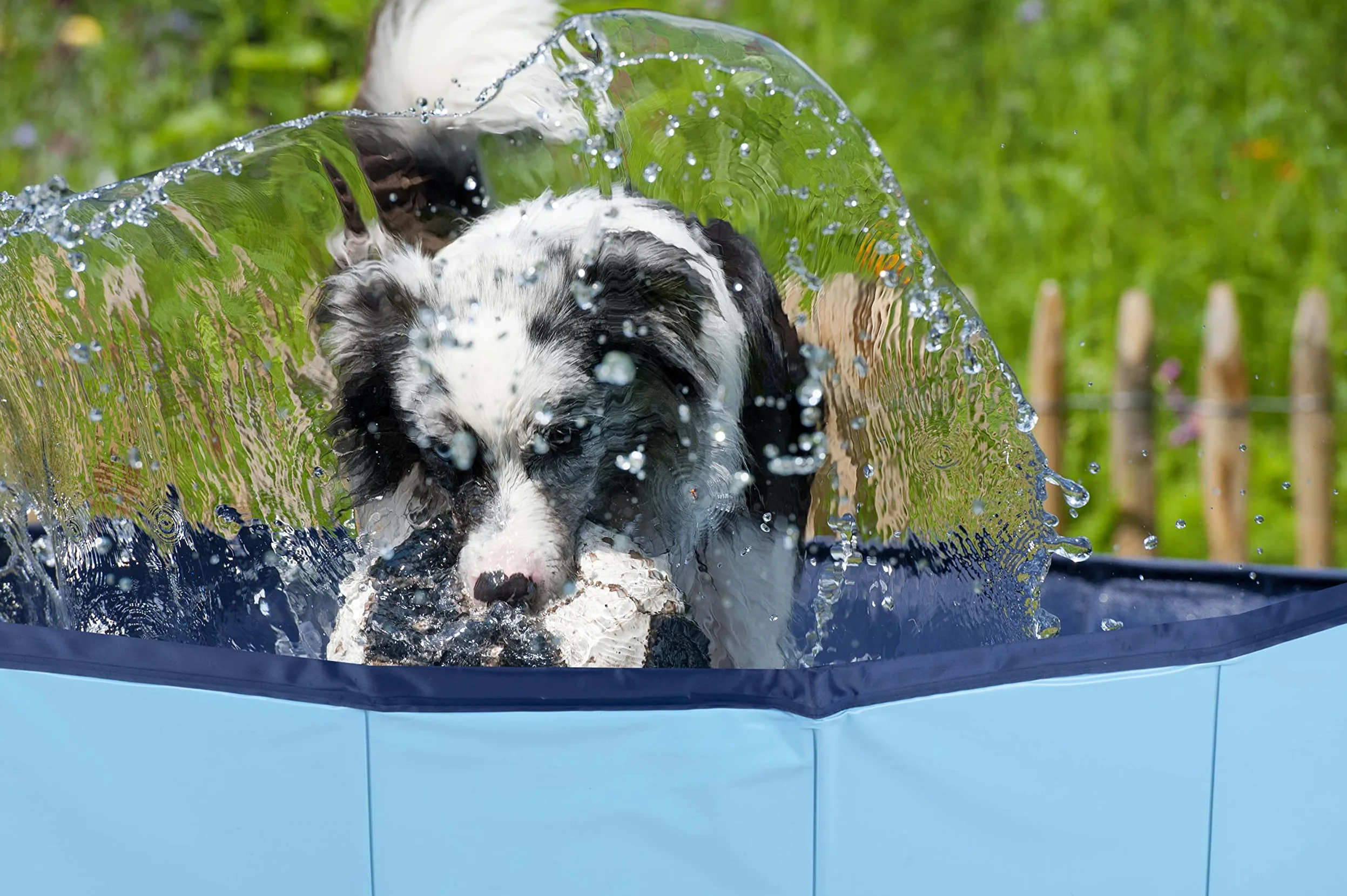 maxxpro Piscina para Perros, 160 x 30 cm, Razas de Perros Grandes, Plegable, Base Antideslizante, con válvula de Drenaje, Color Azul