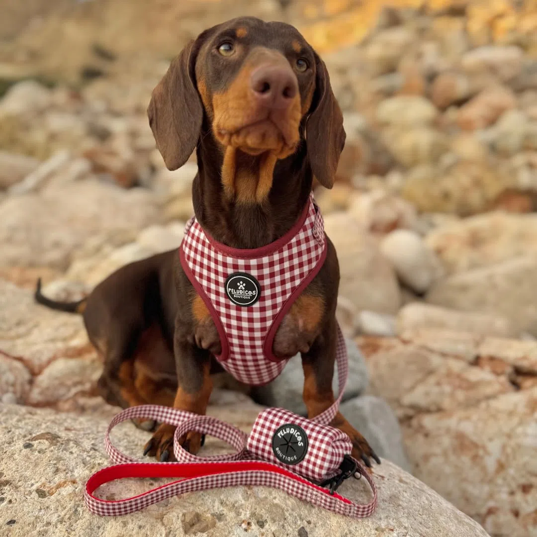 Pack Arnés,Correa y Portabolsas Granate para Perro Ajustables de Neopreno – Diseño Vichy, Cómodos y Resistentes – 5 Tallas