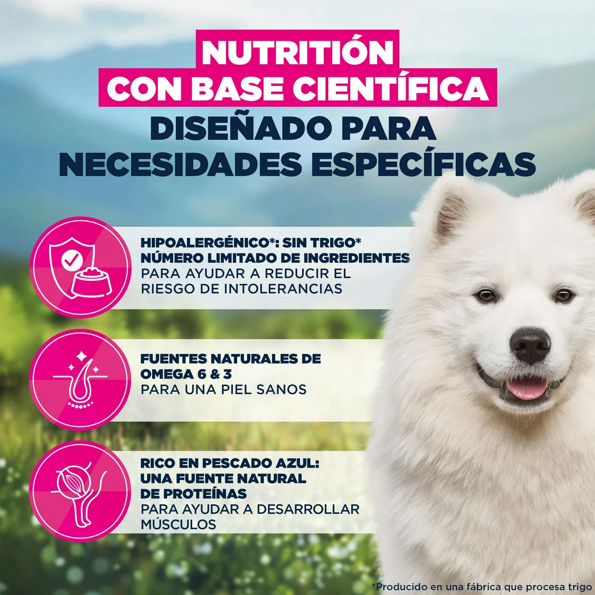 EUKANUBA Sensitive Skin - Alimento Seco para Perros, Pescado, 12kg | Special Care | Hipoalergénico | Pescado de mar | Para perros con piel sensible