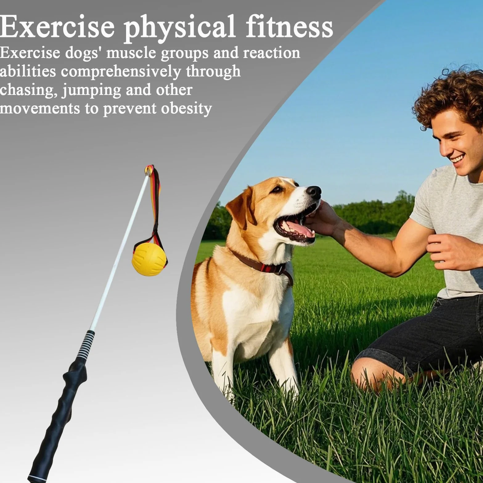 Vara de Juego para Perros Vara para Cachorros Resistente | Juguete Interactivo de Tira y Afloja para Ejercicio de Cachorros, Barra de Entrenamiento para Mascotas para Jardín Patio