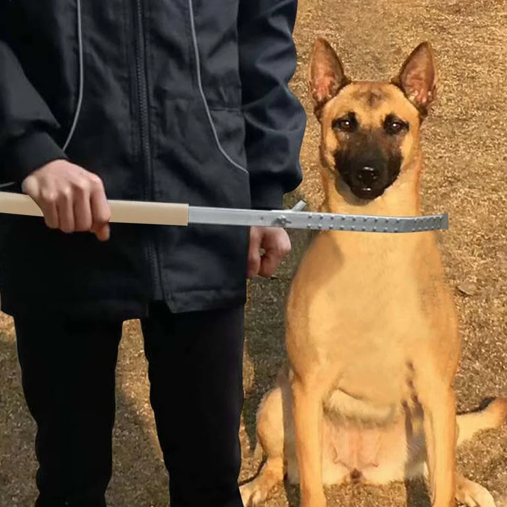 Poste de Adiestramiento Canino, Herramienta de Adiestramiento, Equipo de Adiestramiento