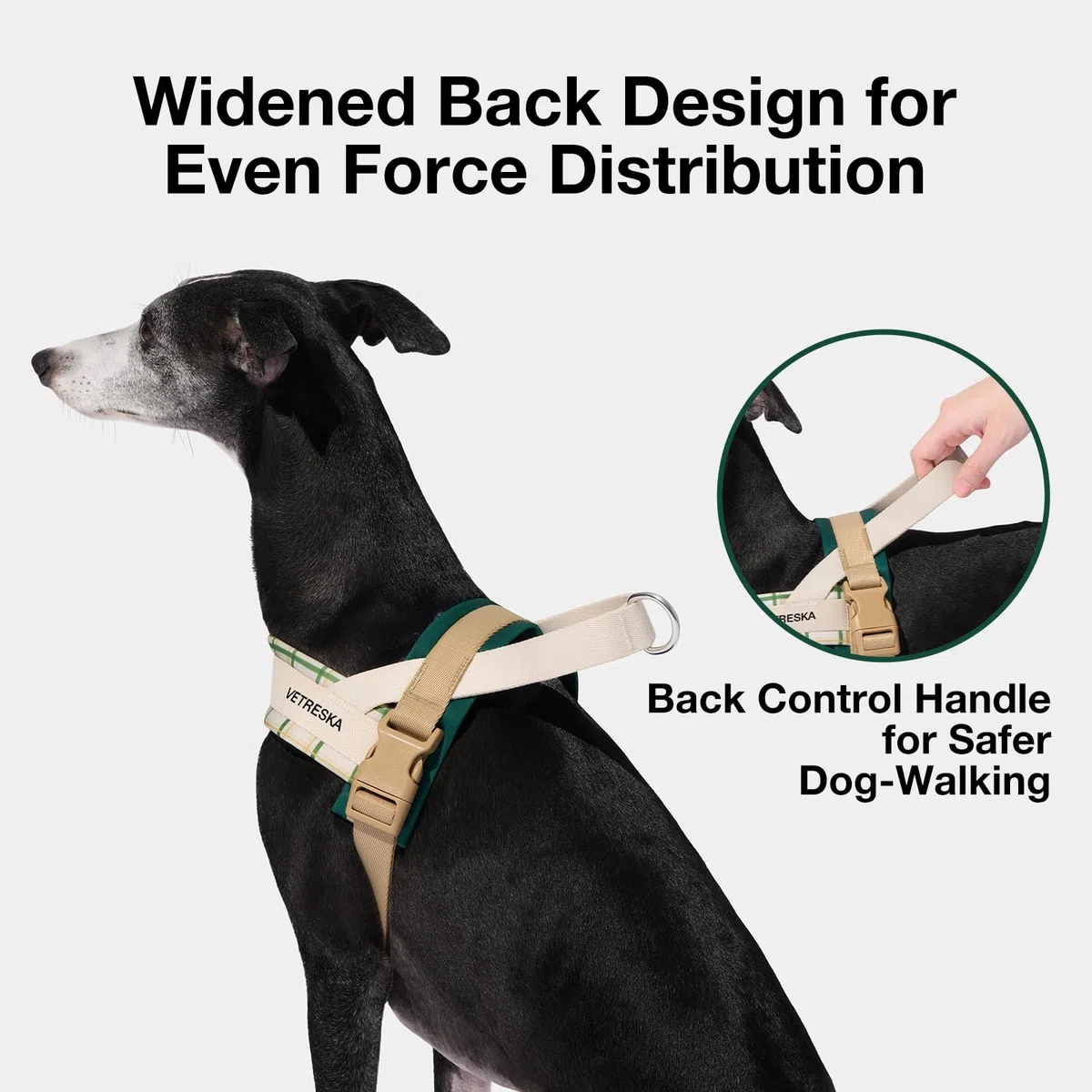 VETRESKA Easy Walk - Juego de arnés y correa para perro, arnés para perros pequeños y medianos, arnés para cachorros sin tirones para pasear y entrenar, ajustable, correa antitorsión (Santal Forest