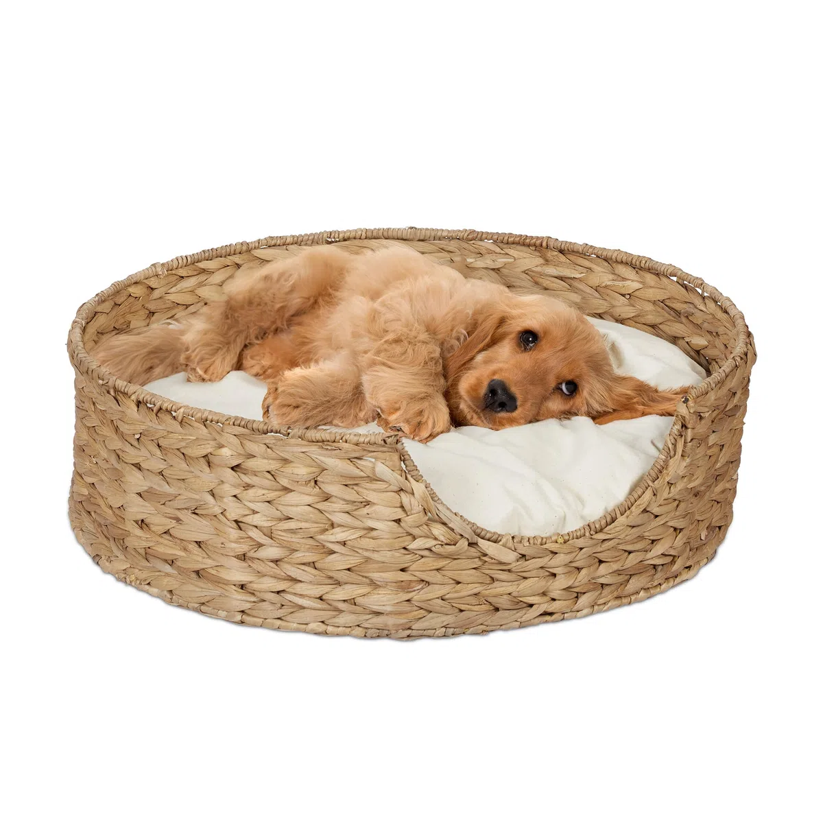 Relaxdays Cama para Perros y Gatos, Camita Mascotas Redonda, 15 x 49 cm, Hierba Marina, con Cojín, Natural y Crema