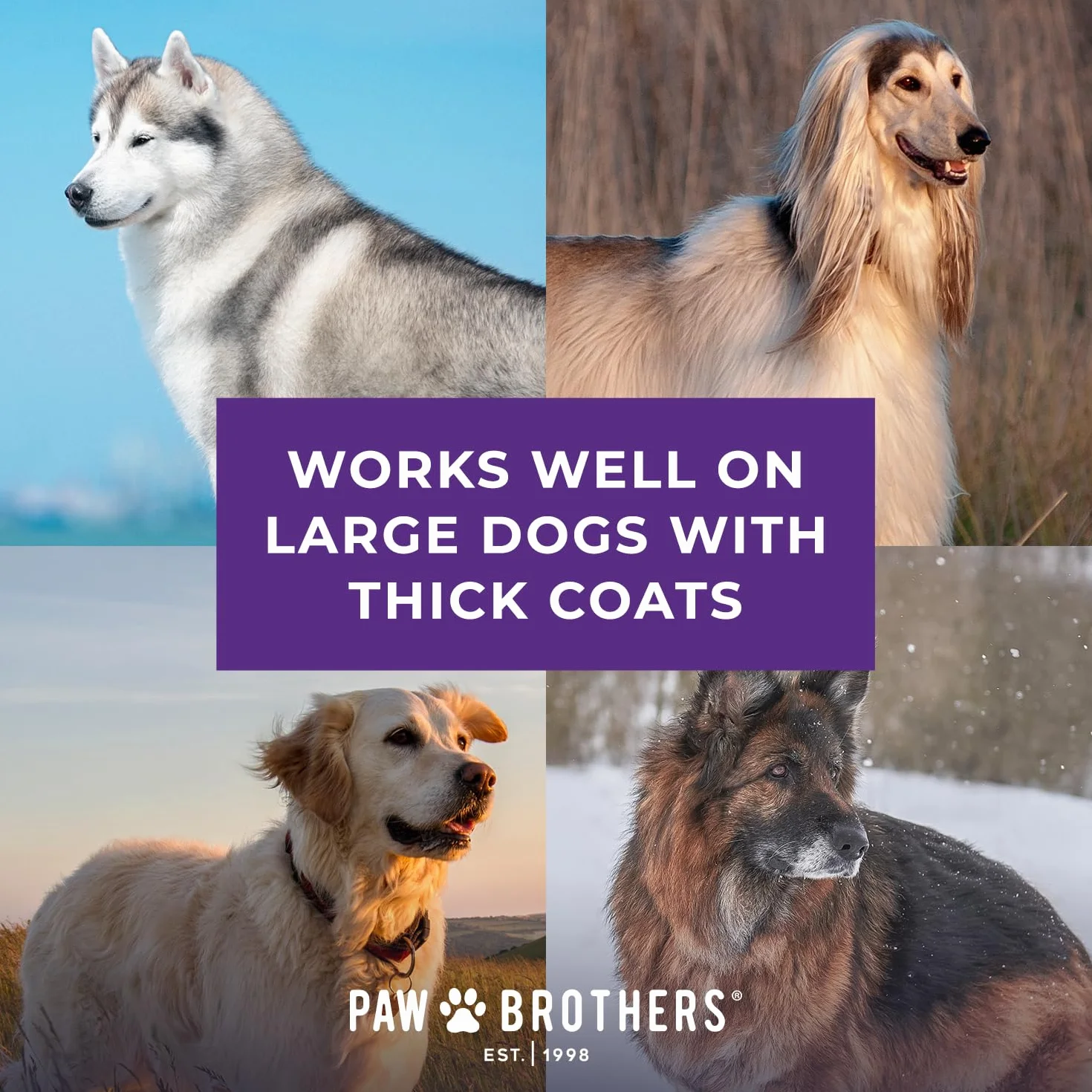 Paw Brothers - Cepillo plano extra largo para perros, grado profesional, elimina el pelo suelto y los enredos, más que los enredos, elimina la capa inferior, cepillo de aseo para perros, mango