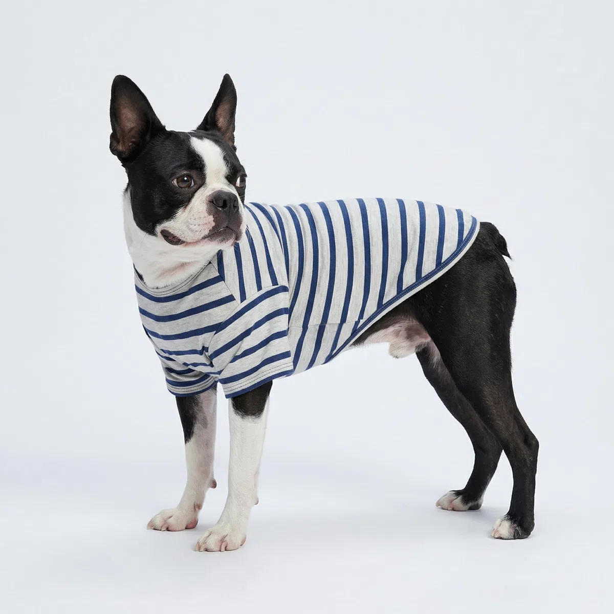 Fitwarm Paquete de 3 camisas de perro a rayas con bloques de color, ropa de verano para perros pequeños, camiseta transpirable y ligera para mascotas con mangas, traje de gato, rojo, azul, gris, XXL
