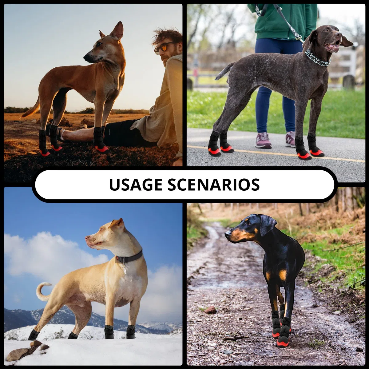 Zapatos para perros impermeables para perros, botines para pavimento caliente con suela reflectante resistente antideslizante, zapatos para perros pequeños, medianos y grandes, 4 piezas