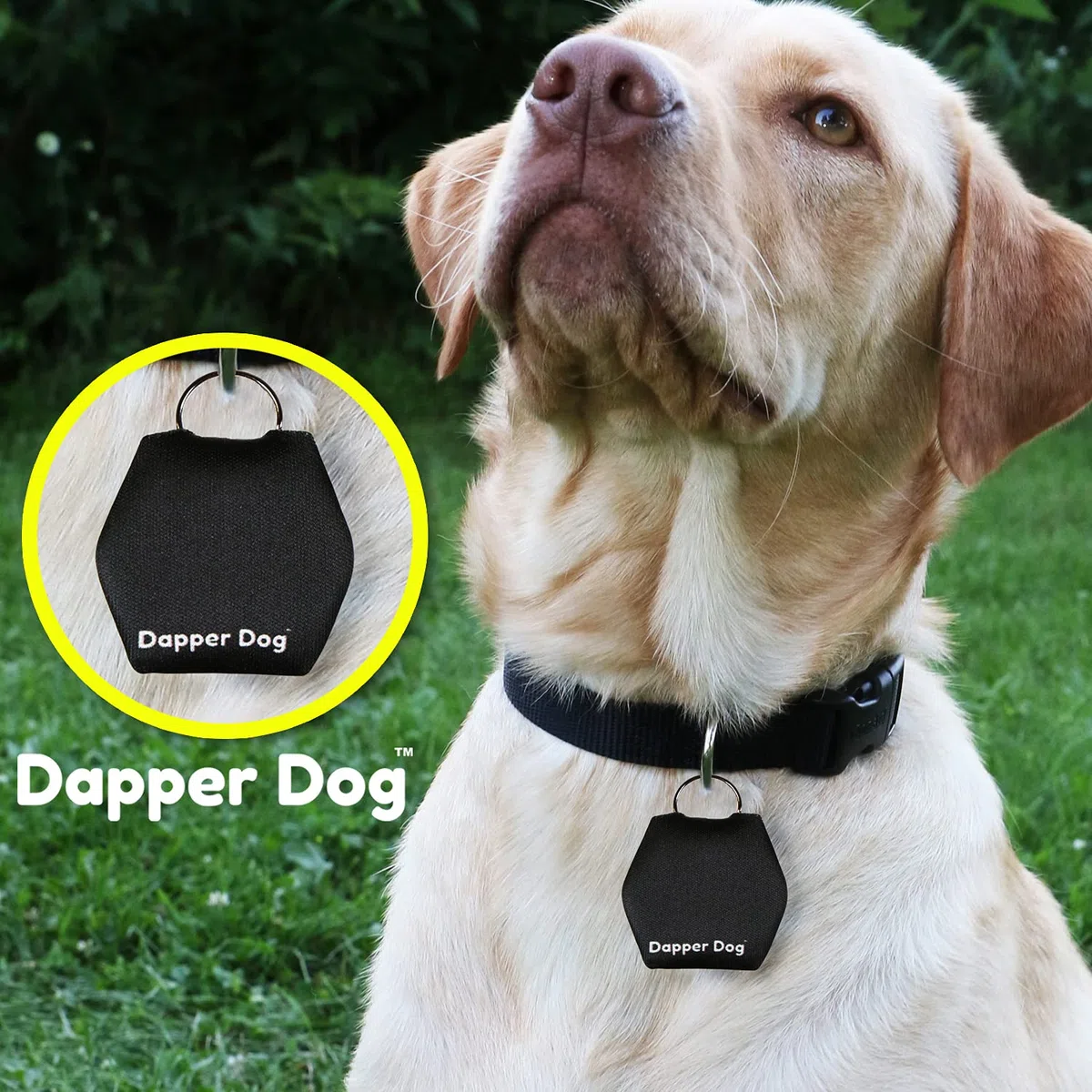 Dapper Dog - Silenciador de placa de perro con anillo de etiqueta (negro)