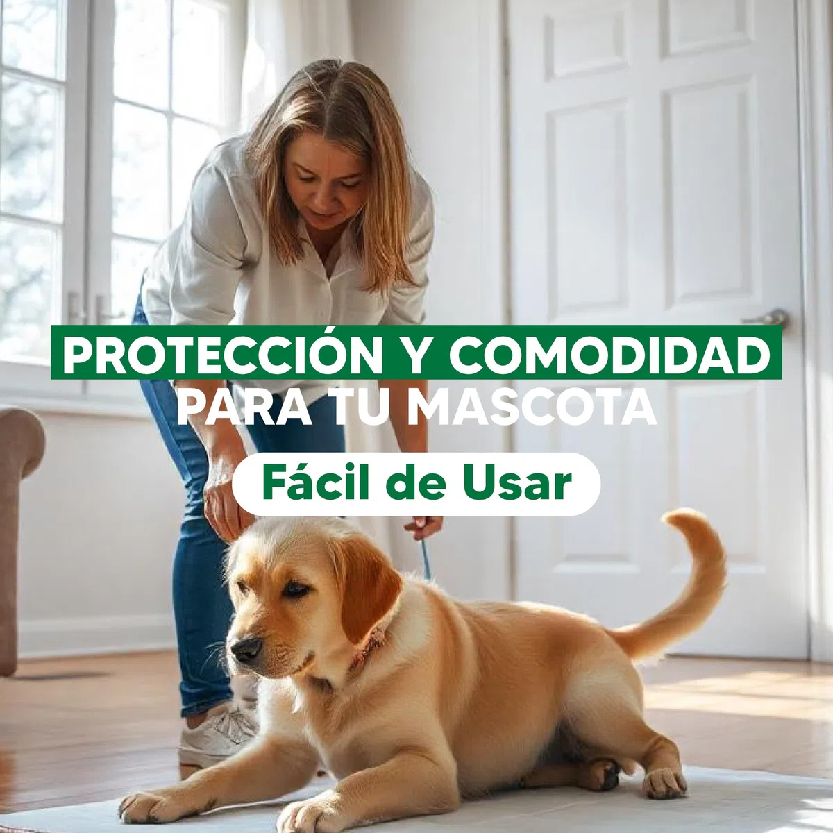 144X Empapadores Perros 55x56cm Ultra Absorbente - Empapadores Perros Grandes y Pequeños a Prueba de Fugas - Empapadores Desechables Perros y Gatos - Almohadillas de Adiestramiento Perros