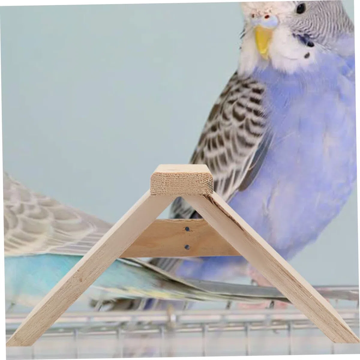 ifundom Soporte De Madera para Aves Multifuncional, Percha Natural De 5 Piezas, Soporte Seguro para Loros y Aves Pequeñas, Adecuado para Suministros De Mascotas y Gallineros