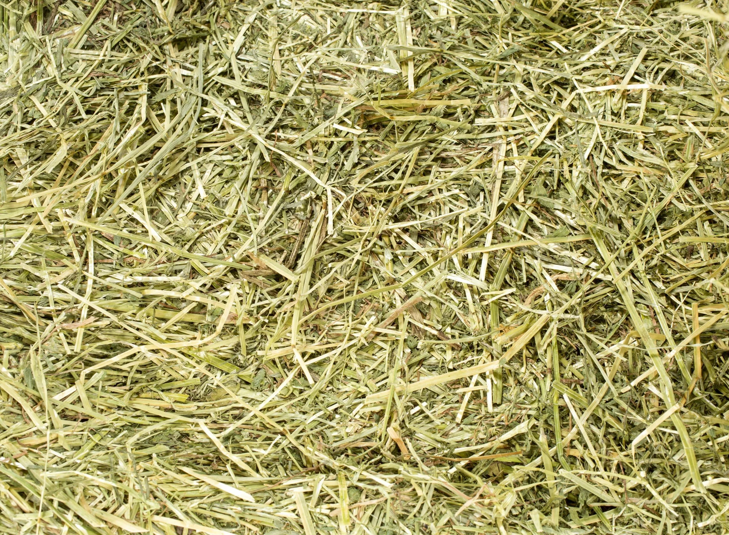 Heno natural para caballos, ovinos, caprinos y ganado 15 kg | Bala de heno italiano de prado de montaña orgánico | Alimento para todos los roedores, conejos y ganado | Alta calidad 15