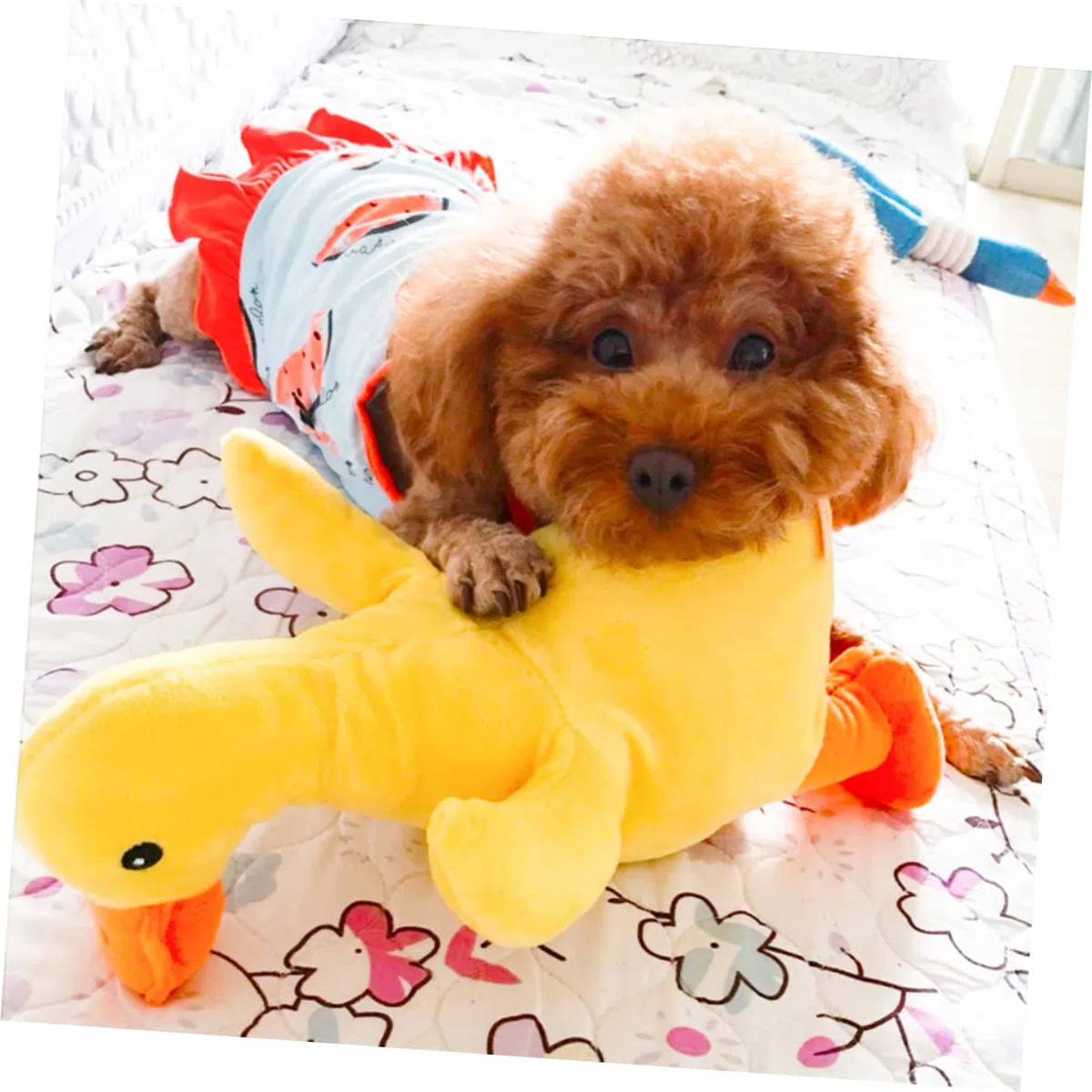 Kisangel 2 Piezas Juguetes para Perros Juguetes de Animales Juguetes interactivos para Perros Juguetes de Peluche muñecos Juguetes para Mascotas Juguetes para Cachorros Peludo Almohada stas