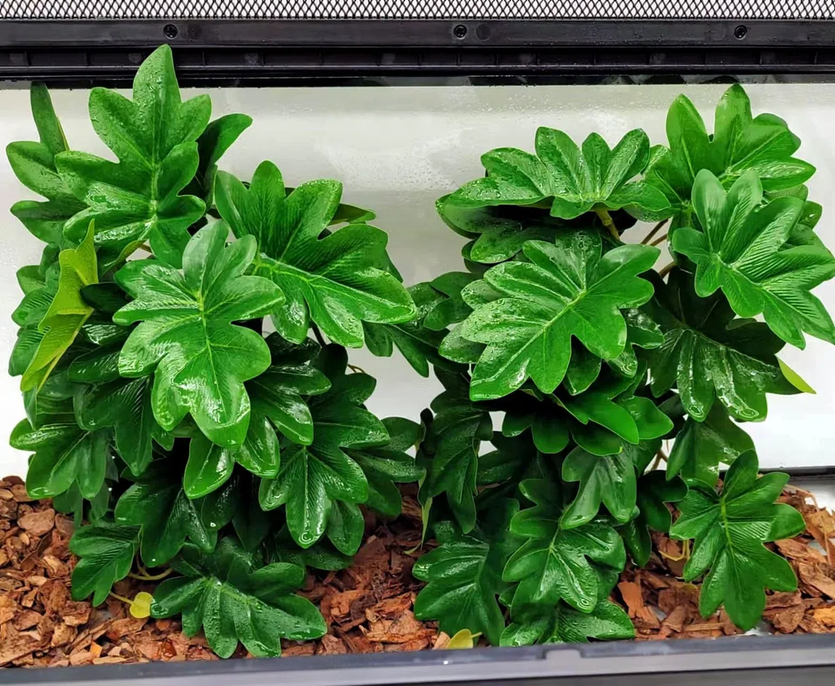 Plantas de reptiles para terrario, decoración de hábitat de anfibios, plantas colgantes artificiales con ventosa, plantas artificiales para Gecko, camaleón, serpiente, tortuga, tanque, accesorios,