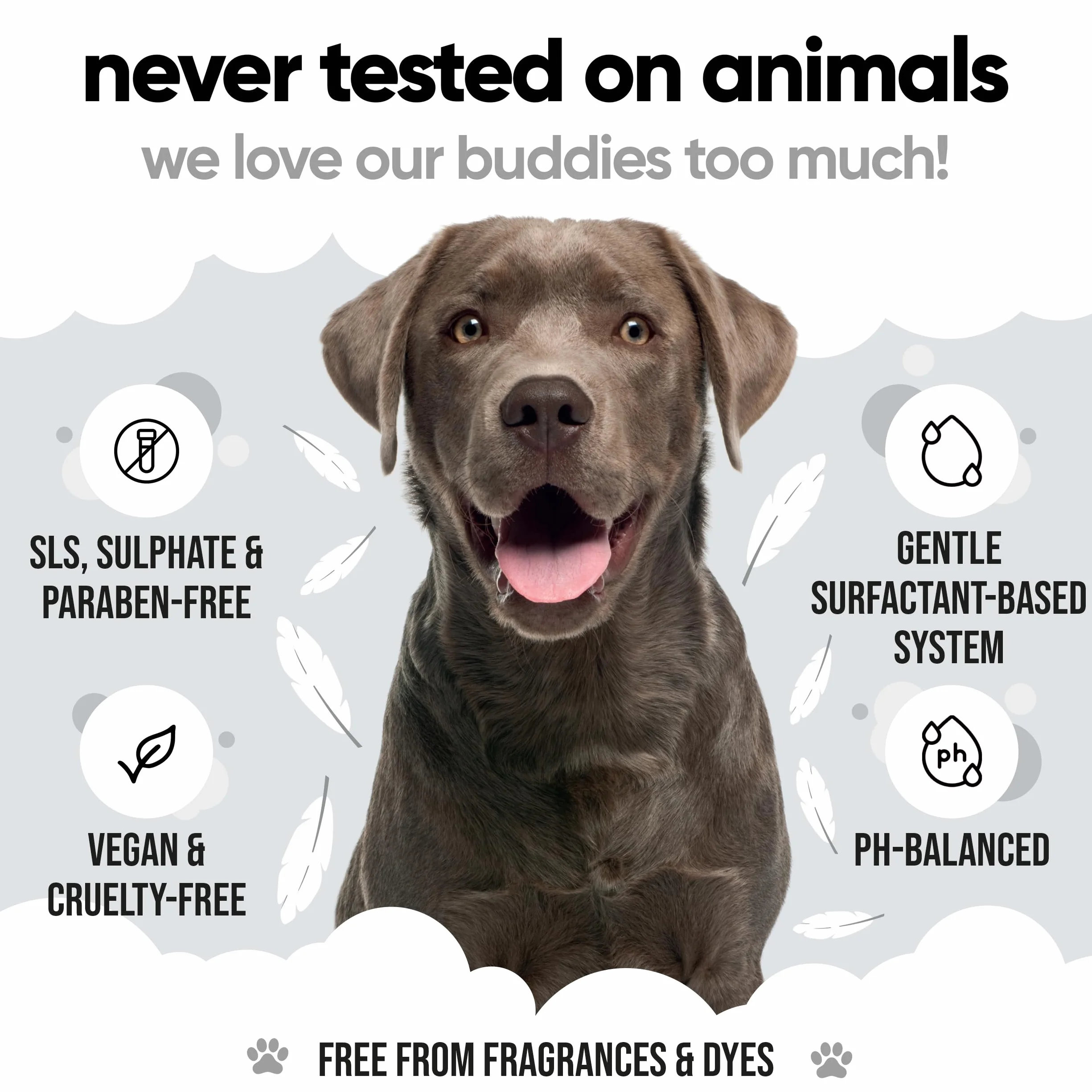 Buddycare Champú para Perros | con Aloe Vera y Pro Vitamina B5 Sensible a la Piel 5L