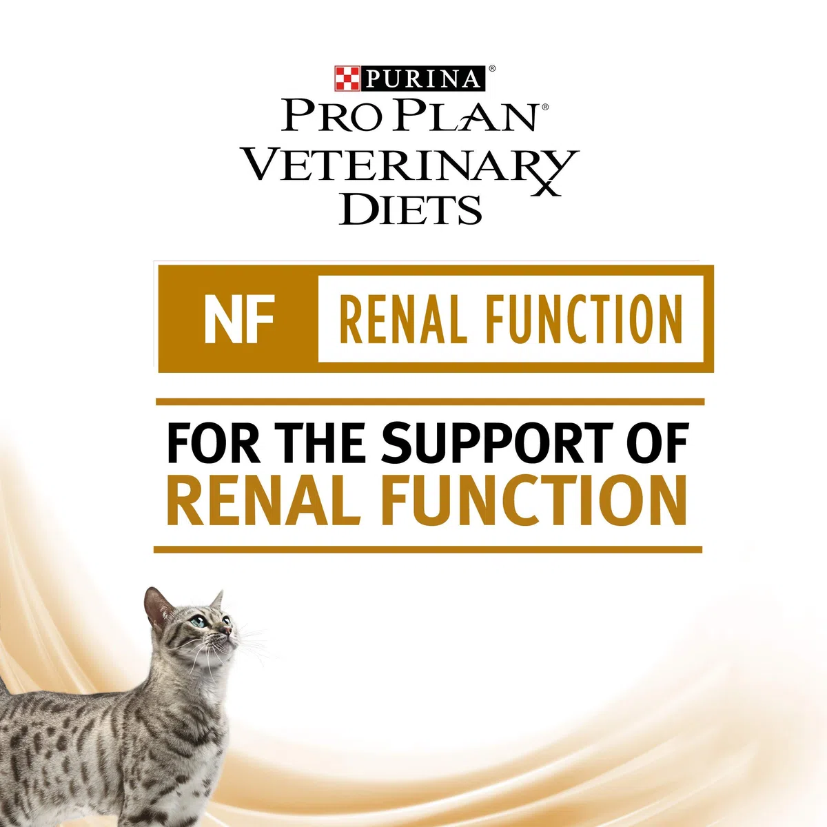 Purina Pro Plan Vet Feline Nf 5Kg 5000 g
