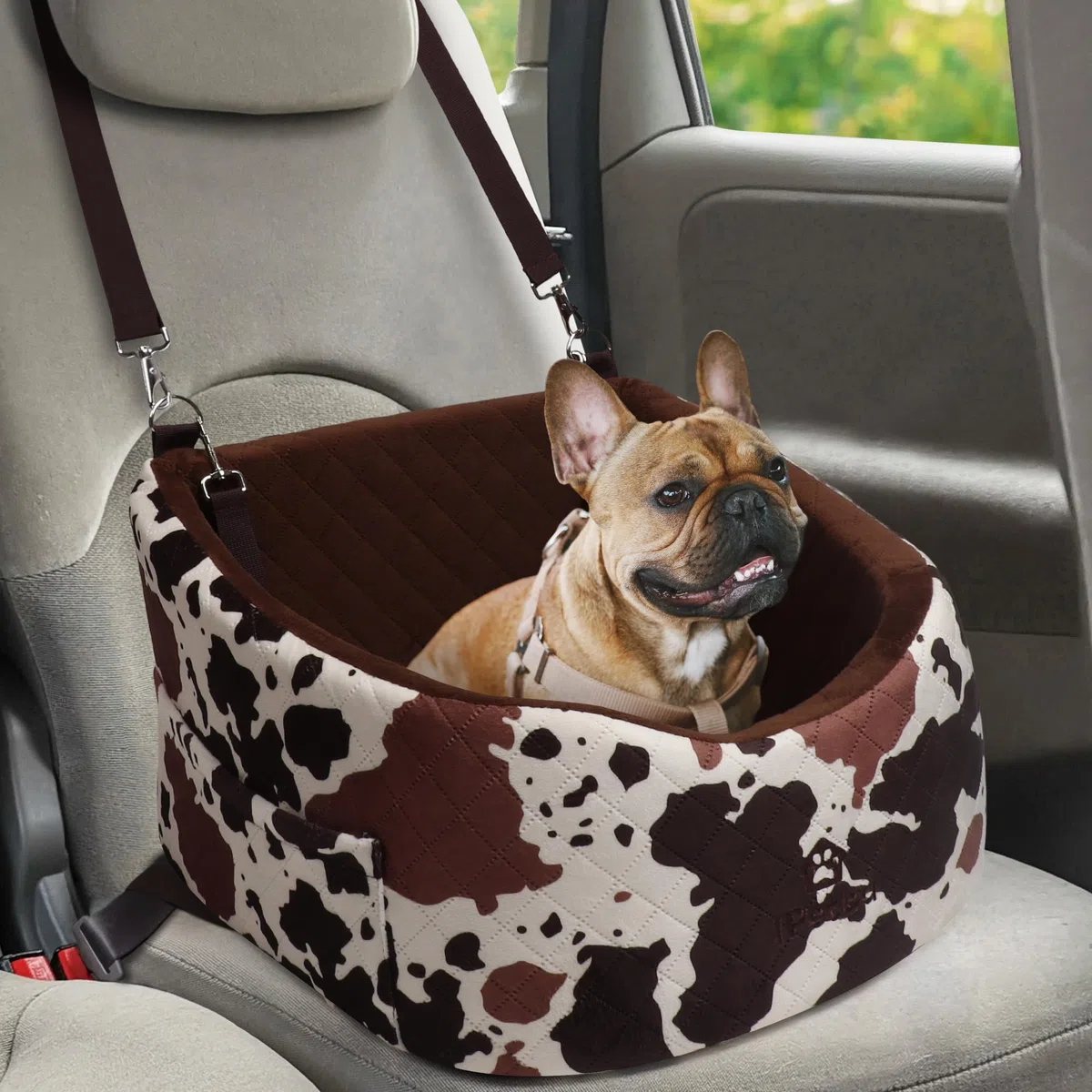 Asiento Perro Coche para Perros Pequeños y Medianos Transportin Cama de Viaje para Mascotas, Delantero o Posterior, hasta 15 kg