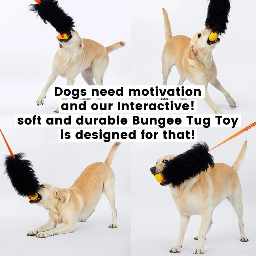 HOWGO Juguete de cuerda para perro, juguete elástico para perro, 100% piel de oveja, juguete de tirones con olor a oveja para todas las razas (morado, grande)