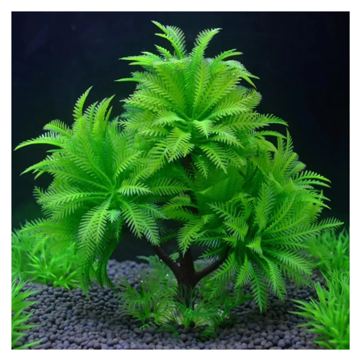 Plantas Artificiales para acuarios, Acuario Plantas Artificiales Multicolor(Green)