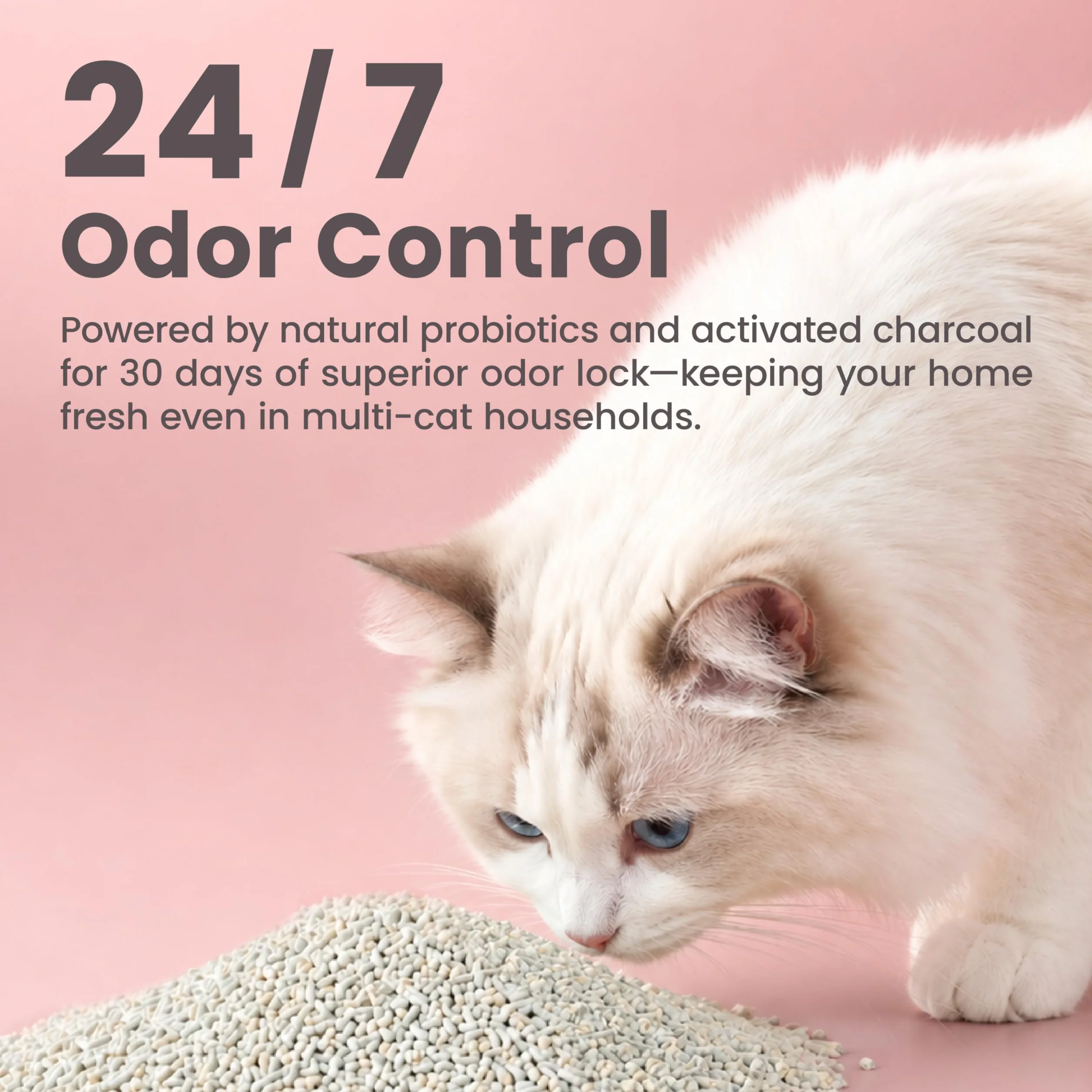 Lady N Arena de tofu para gatos, bajo polvo, compatible con Auto-Box sin perfume, 9 libras | Forma de minipelets, fuerte aglomeración, ultra absorbente, control de olores de carbón activado
