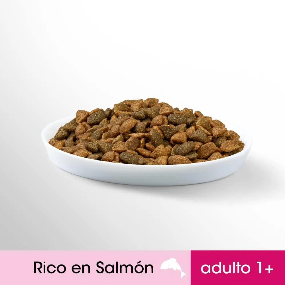 Pienso para Gatos Sabor Salmón (5 Bolsas x 1,4kg)