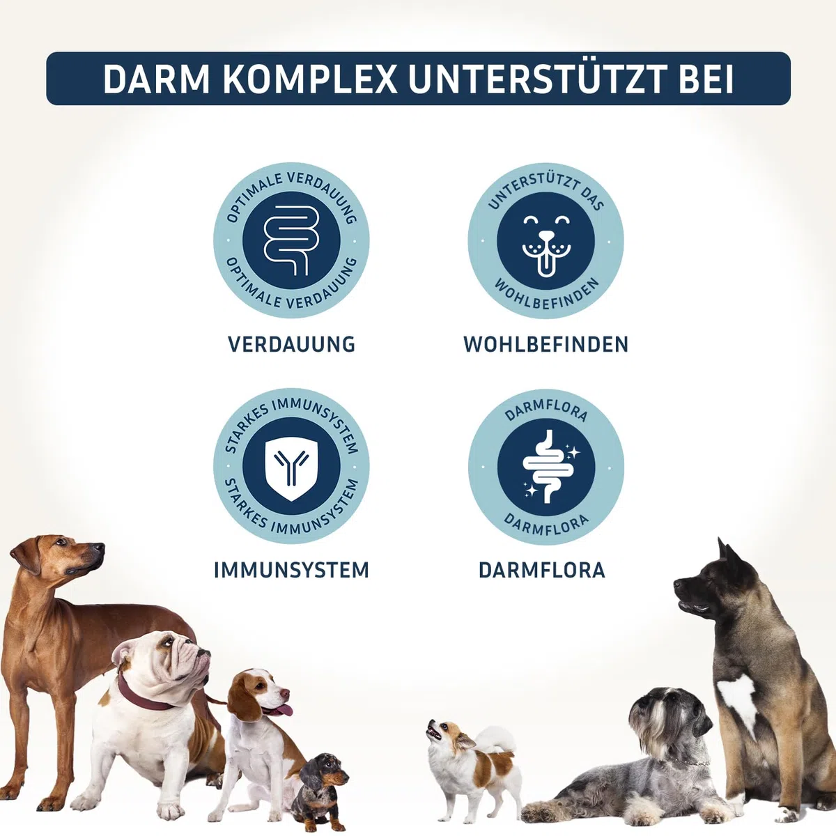 PetFokus Complejo intestinal para perros - Apoyo a la digestión, antiinflamatorio, salud articular y control de peso, complementario a la alimentación húmeda, seca o cruda - producido en Alemania