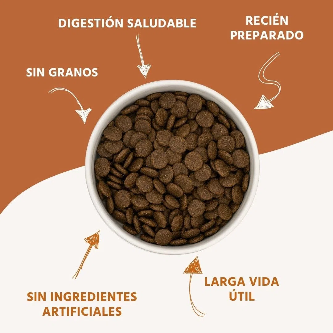 Wildfang® Alimento Seco para Perros 6kg – Pienso Premium con Pollo y Pavo, Sin Cereales ni Gluten, con Ingredientes Naturales, Sin Azúcar Añadido Comida para Cachorros y Perros Pequeños – Paquete de 1
