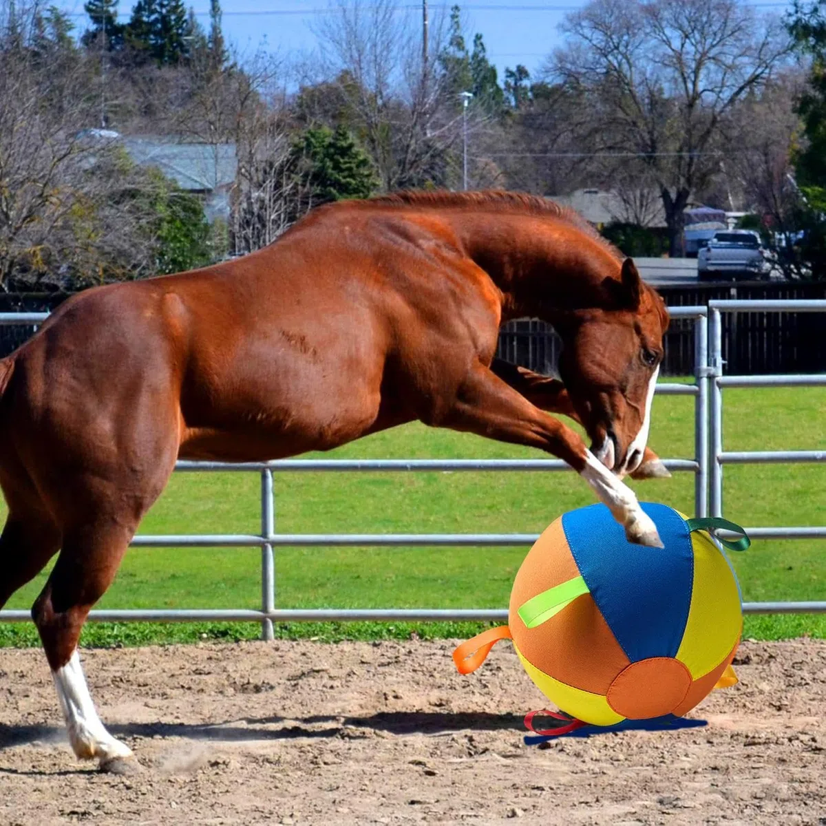 Pelota de Perro Resistente Mordeduras, Ejercicio Portátil, Juego | Pelotas interactivas para perros en Exteriores, Piscina, Agua, Navidad