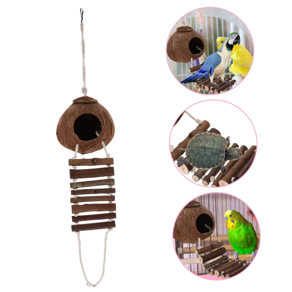 BESPORTBLE Casa para Cangrejo Ermitaño de Cáscara Natural con Escalera Hábitat para Cangrejo Ermitaño Decoración de Terrario para Reptiles Cueva Delicada para Terrario