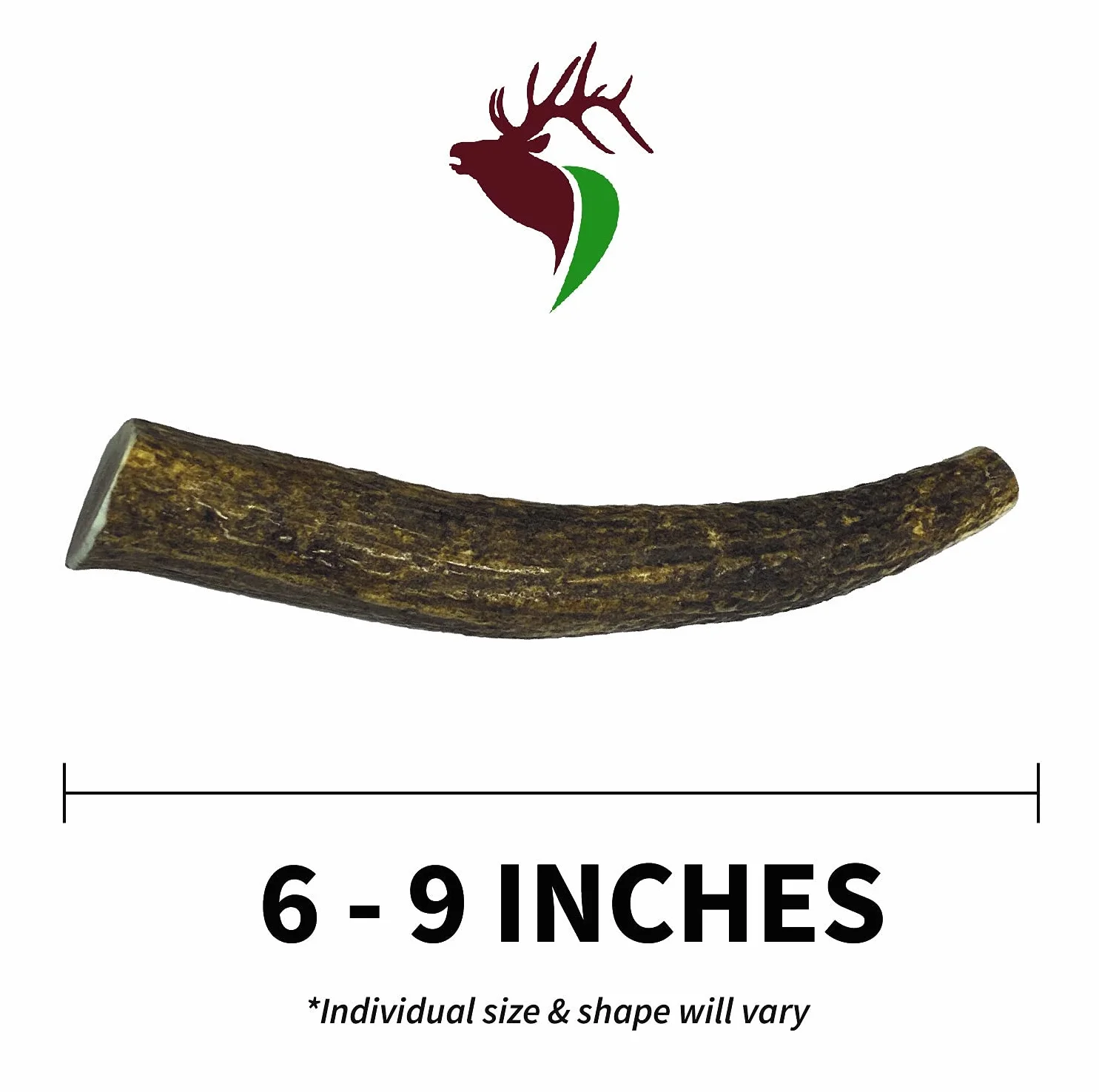 Elkhorn Premium Chews - Medio entero (para perros y cachorros de 20 a 40 libras) Alce de cuernos de alta calidad – Paquete doble (2 piezas) – Juguete masticable natural de larga duración procedente de