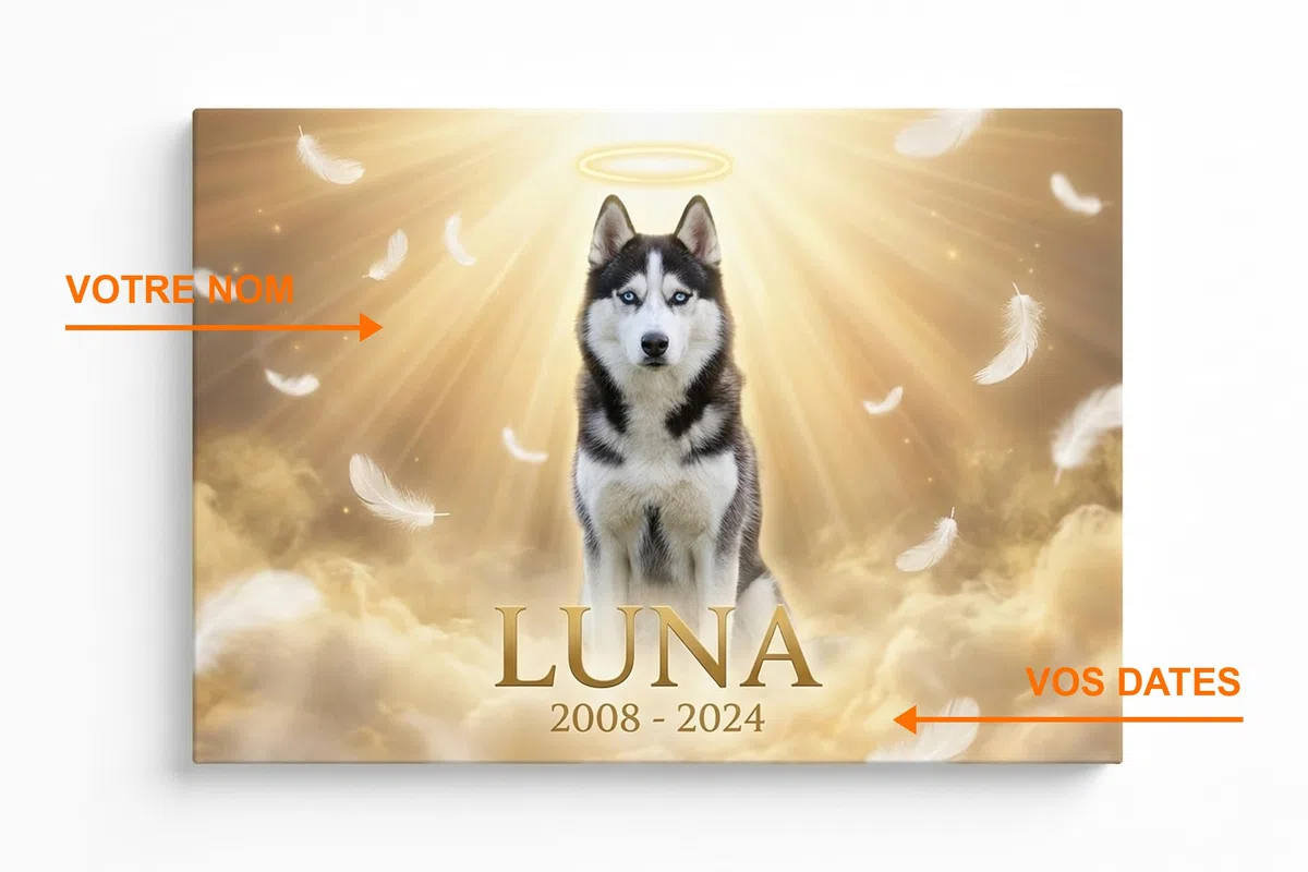BKCREATIONS Lienzo memorial personalizado mascota Luz Celestial - Perro gato recuerdo - Regalo condolencias marco madera (40 x 30 cm)