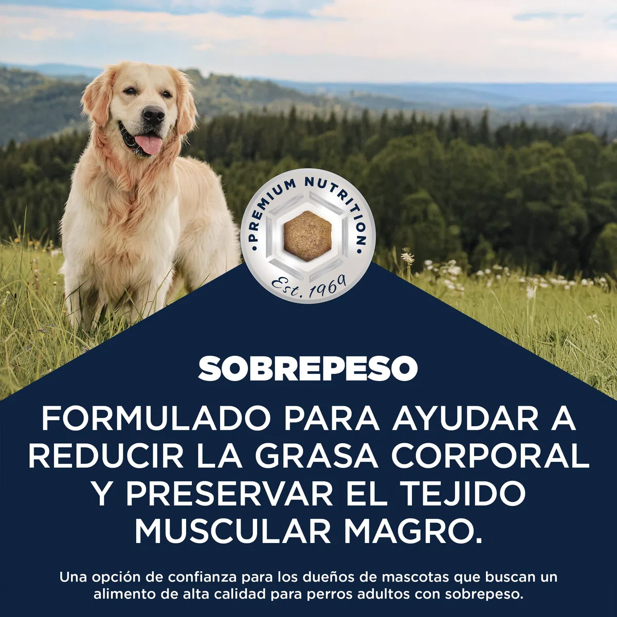 EUKANUBA Overweight - Alimento Dietético para Perros, Pollo, 12kg | Special Care | Bajo en grasa | Para la reducción del peso | Tendencia al sobrepeso