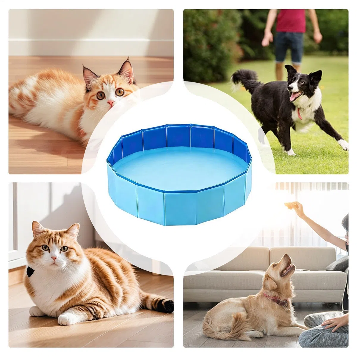Piscina Pequeña 120 x 30 cm Antideslizante Plegable Portátil Bañera | Bañera Dura Para Mascotas Adecuado En Patio Jardín Baño Interior Exterior Hogar Niños Cachorros Gatos
