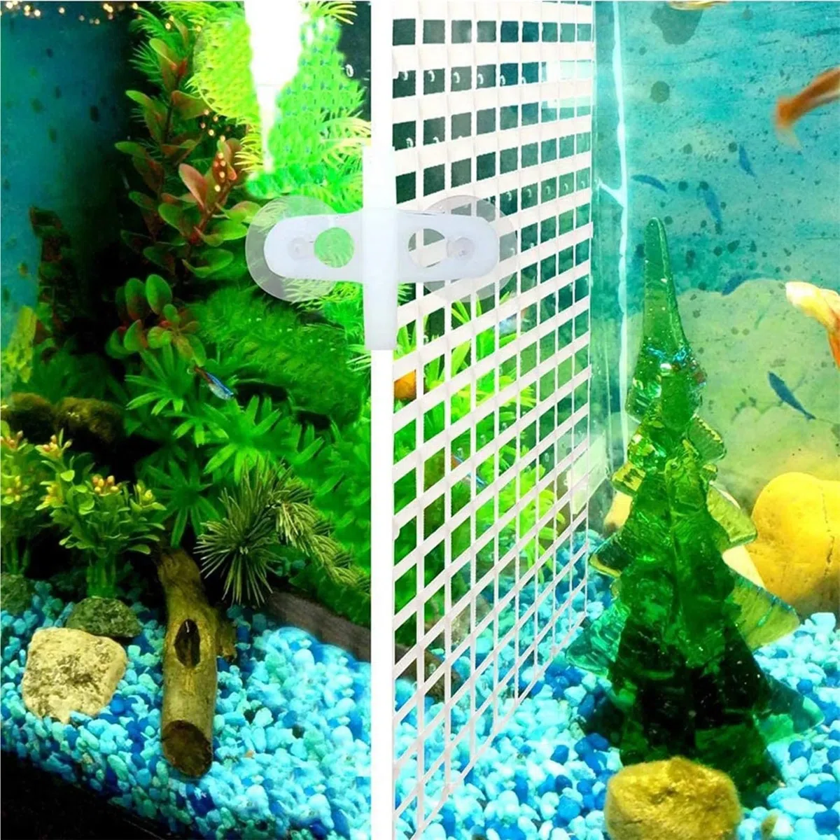 Separador Acuario 10 separadores de Acuario, pecera, Rejillas Filtro, Bandeja separación, Tablero Aislamiento, Rejilla con 20 Pinzas Ventosa para Separación