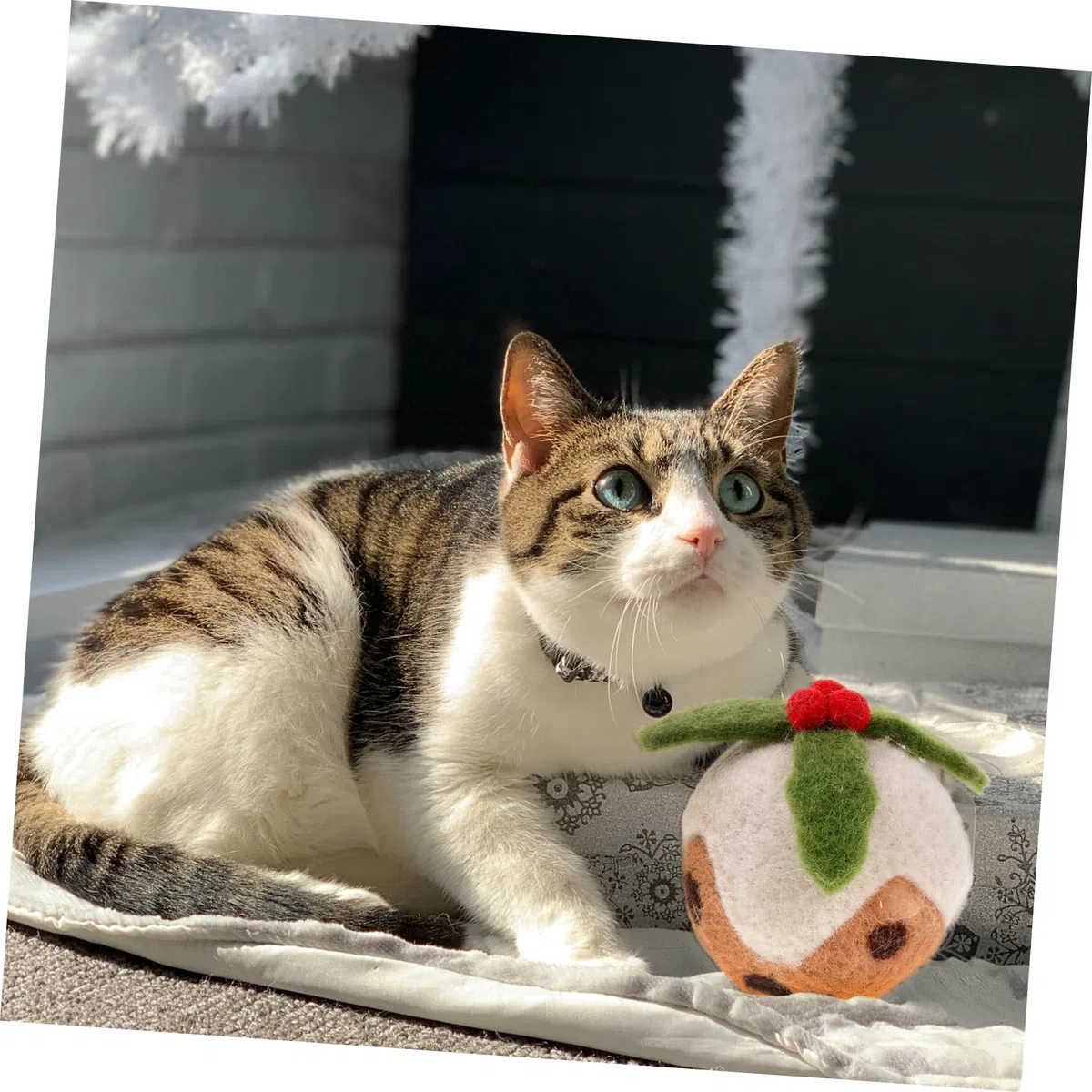POPETPOP 9 Piezas Pelota de Juguete para Mascotas Gato Juguetes Navidad Hierba gatera Divertido Gato de Cat Toys de Pelota de navideño para rascar s