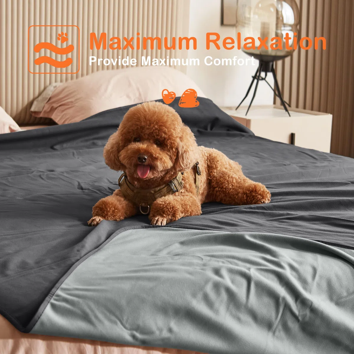 Manta Impermeable para Perros, Manta para Mascotas, Manta Impermeable, sofá, Cachorro, Gato, Cama, Asiento de Coche, Cubierta de protección para Muebles, Grande, 203 x 229 cm