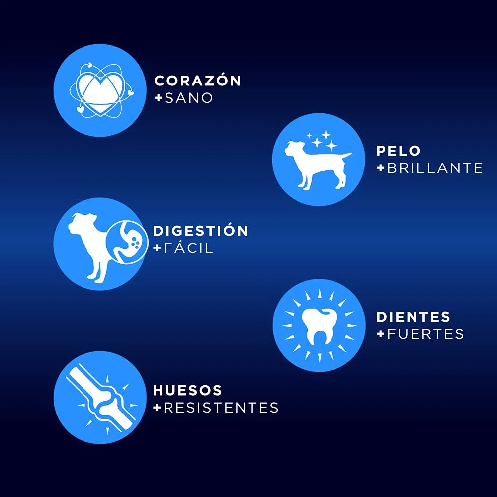 Pienso para Perros Adultos para Todas Las Razas y tamaños Rico en Pollo Alimento seco para Perros 20 kg Canun Trabajo