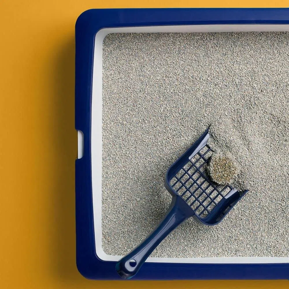 Catsan Clumping Litera, eliminación de olores, extra absorbente, paquete de 3 x 5 litros