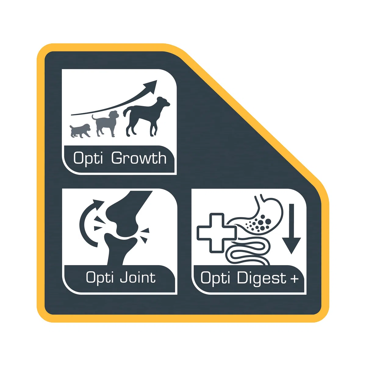 VERSELE-LAGA - OPTI Life Puppy Medium - Pienso para Cachorros - Razas Medianas - 12,5kg (Razas Medianas, 12,5kg)