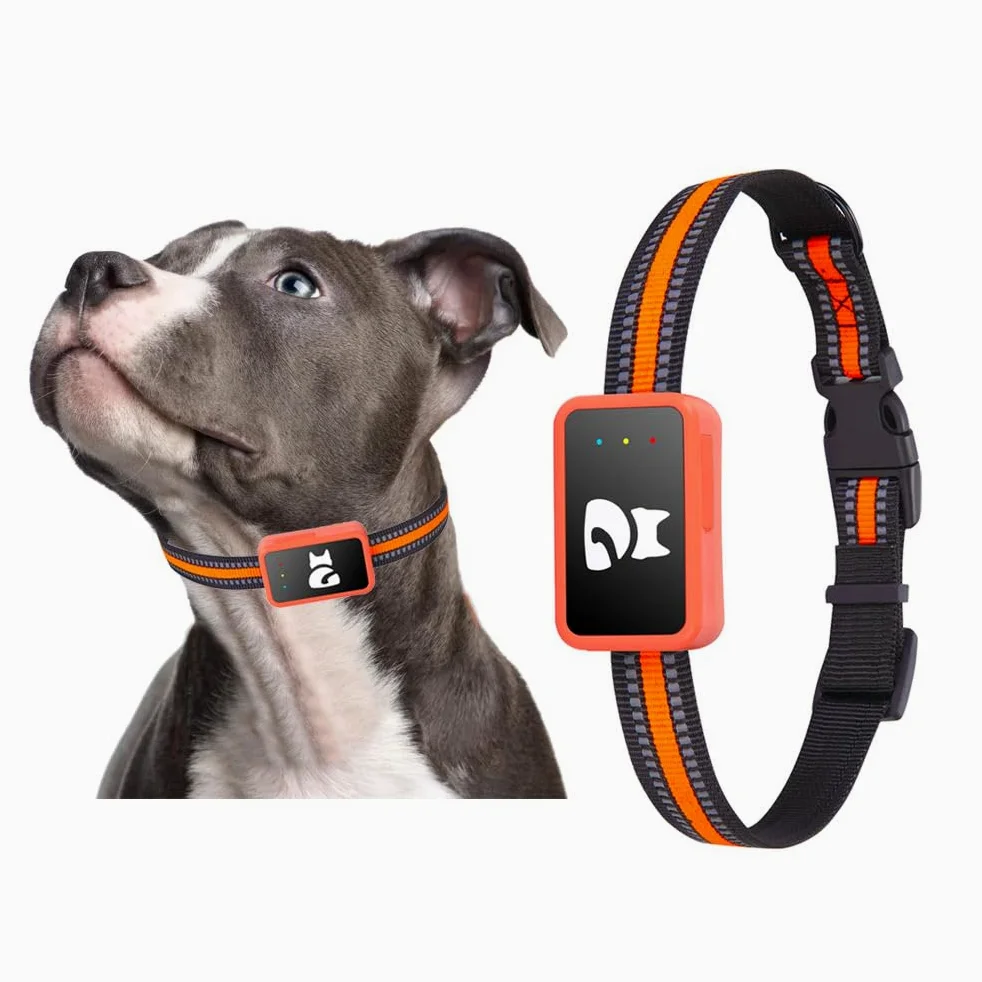 Localizador GPS para perros y gatos impermeable con aplicación gratuita – Seguimiento en tiempo real, alarma perimetral, historial de desplazamientos funciona con tarjeta Nano SIM 4G