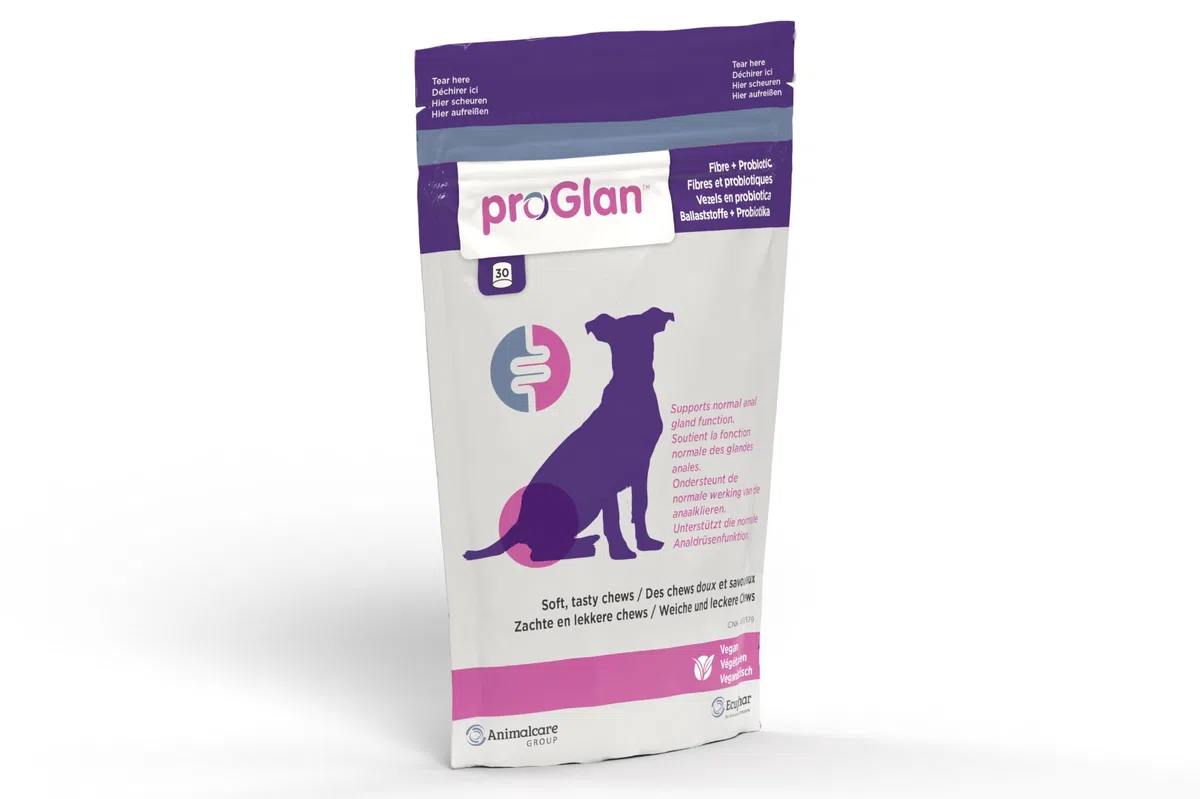 ecuphar proGlan Chews | Paquete Triple | 3 x 30 Unidades | Complemento alimenticio para Perros | para Mejorar la consistencia de Las heces y apoyar el Mecanismo de Vaciado de Las glándulas anales