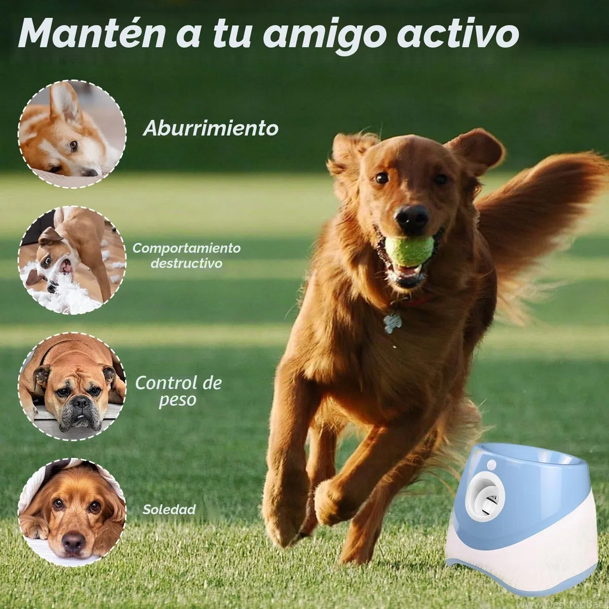 Lanzador de bolas para perros automático, lanza bola para perros con 6 bolas, distancia ajustable 3-9m, lanzador de bolas automático interactivo para perros, juguete de entrenamiento interior al aire