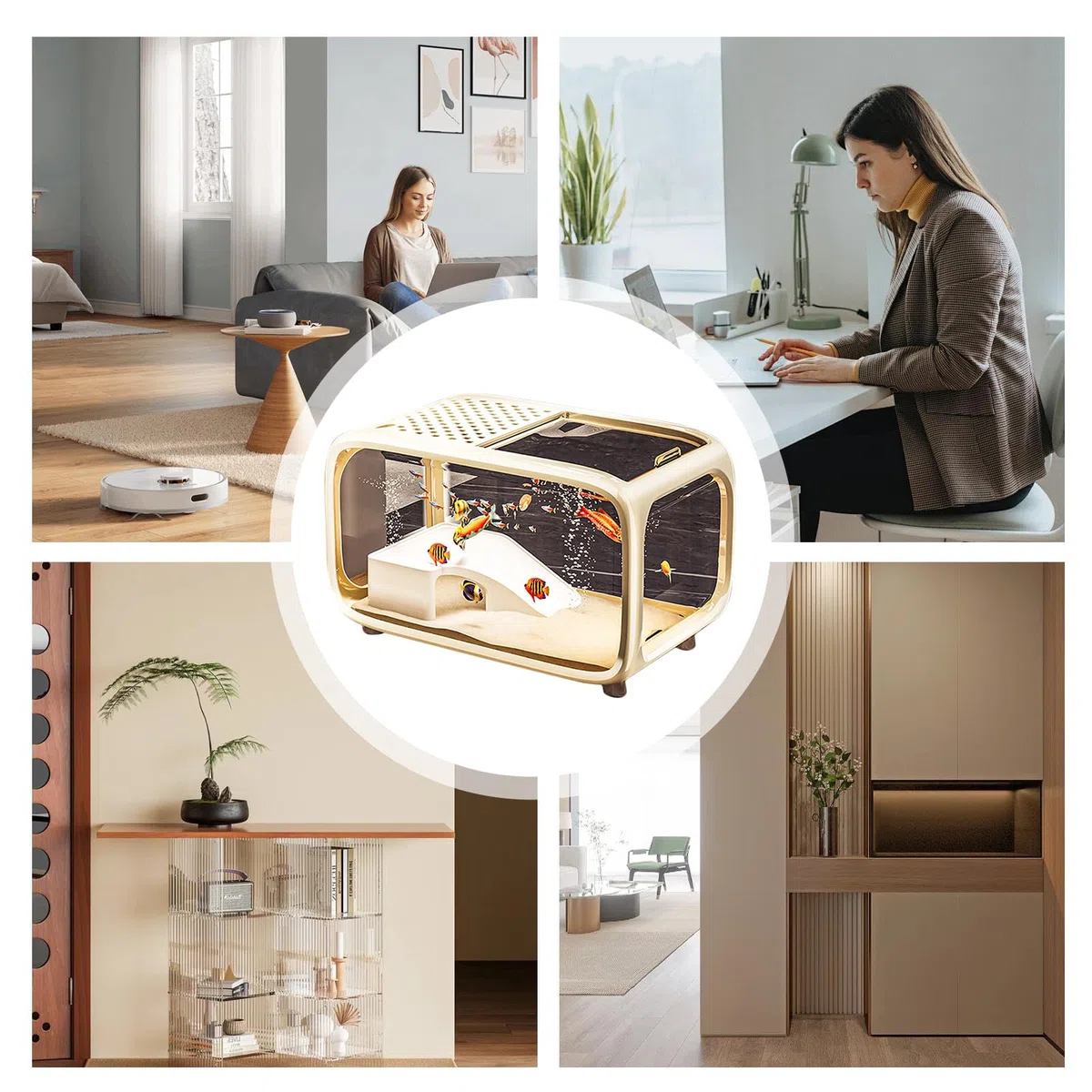 Acuario, pecera, pecera, paisaje, acuario con decoración de escalada