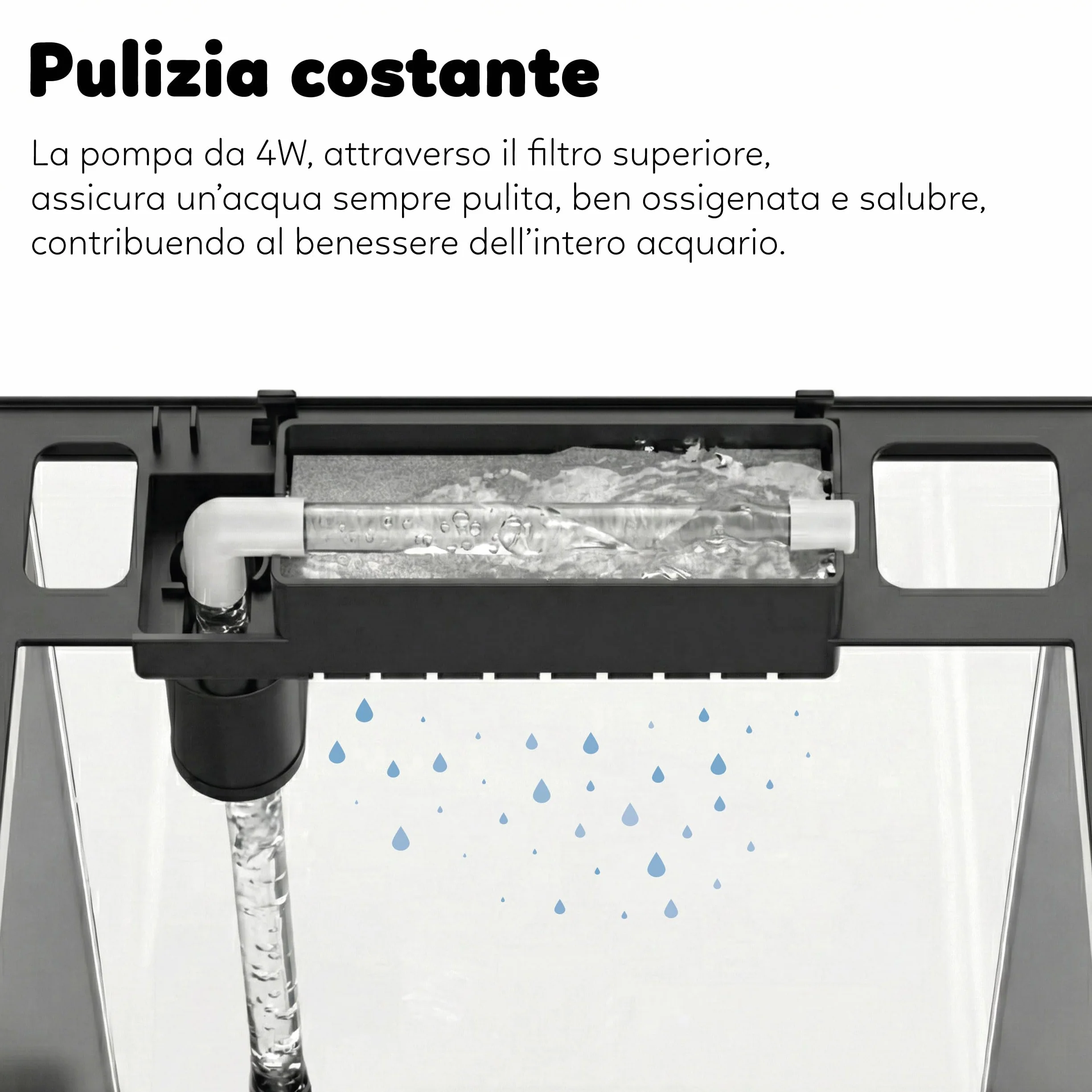 AQPET Acuario Curvo de Cristal Curvado 35 l con Filtro Superior Integrado y LED 6 W – Acuario de diseño de Escritorio con Bomba incluida y Tapa para dispensador automático de Alimentos (Negro)