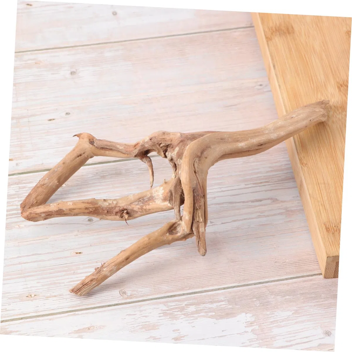 Madera Flotante Natural Rama de Madera Flotante Madera Flotante para acuarios de Agua Dulce decoración de pecera Raíz de rododendro Decorar sucursal Iniciar sesión