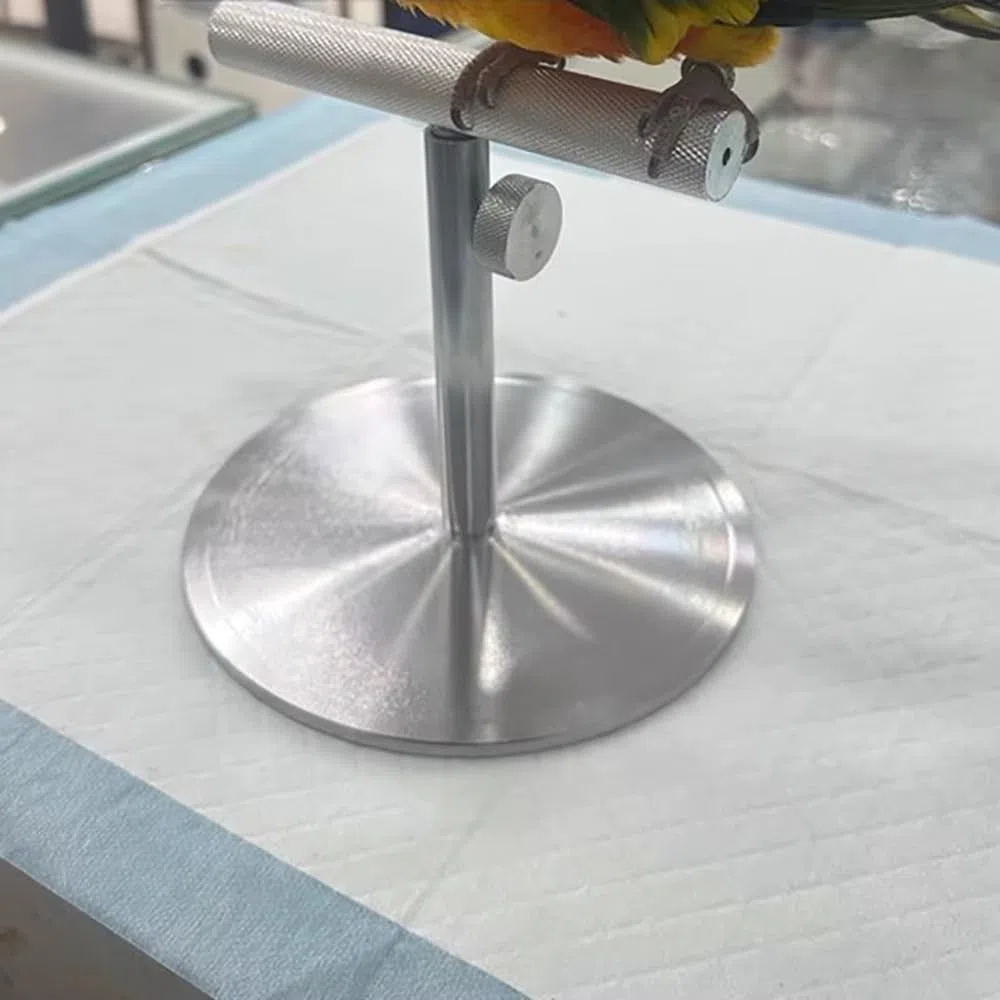 Soporte de Escritorio para Loros, Percha de Entrenamiento Totalmente Metálica para Aves