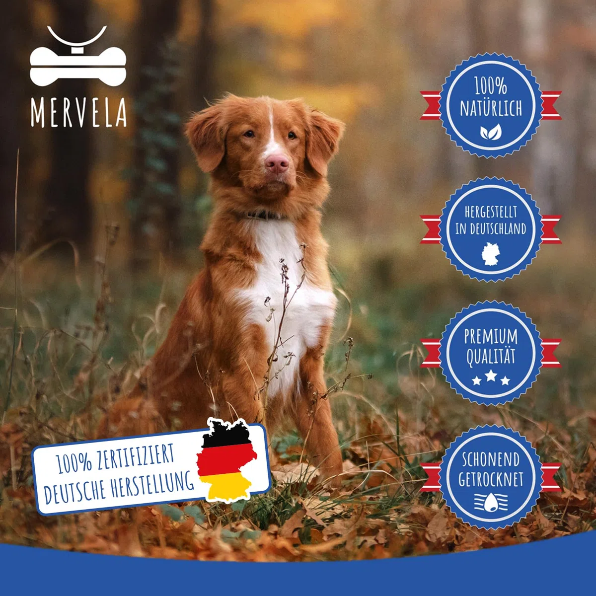 pulmón de Caballo | 100% Puro Caballo | 1.000 Gramos | Pulmón seco de Caballo | Calidad de Alemania | Ideal para Perros hipoalergénicos, alérgicos y sensibles