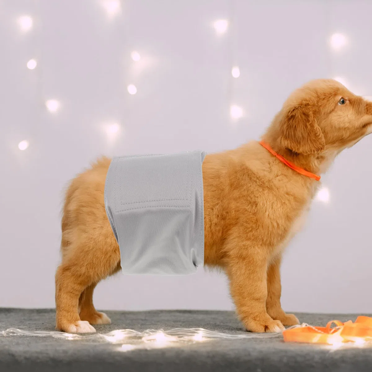 TOYANDONA 3 Piezas Pañales Lavables para Perros Reutilizables Unidades Banda Abdominal para Perros Machos Pañales Menstruales Hembras para Cachorros