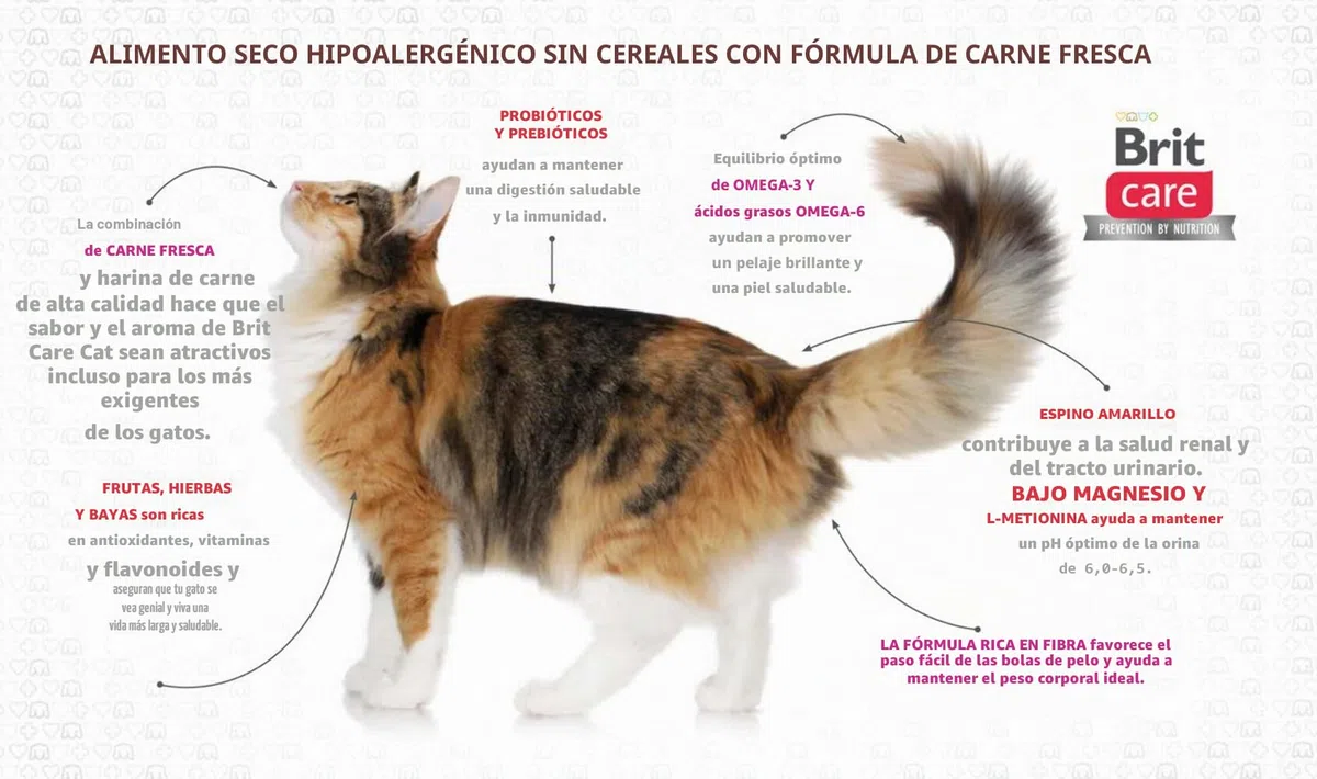 Comida húmeda para Gatos VAFO Praha s.r.o. Brit Care Cat Sterilized Weight 7kg GF