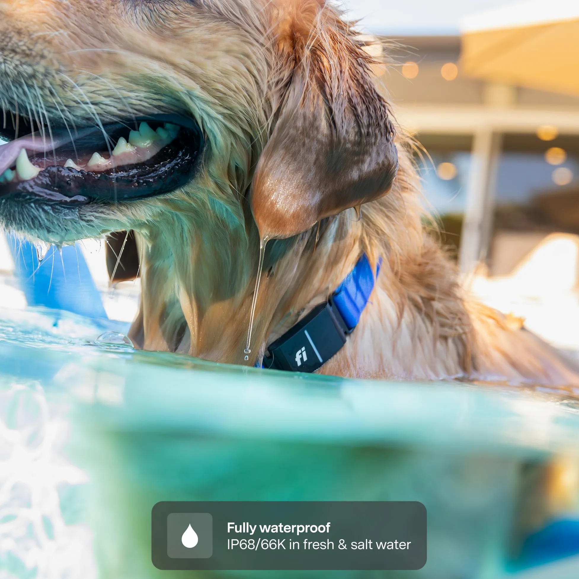 Collar inteligente para perro Fi Series 3+ – Rastreador de perros GPS y monitor de actividad y nuevo fitness, impermeable, luz LED, alertas de escape, cobertura nacional [membresía gratuita de 6 meses